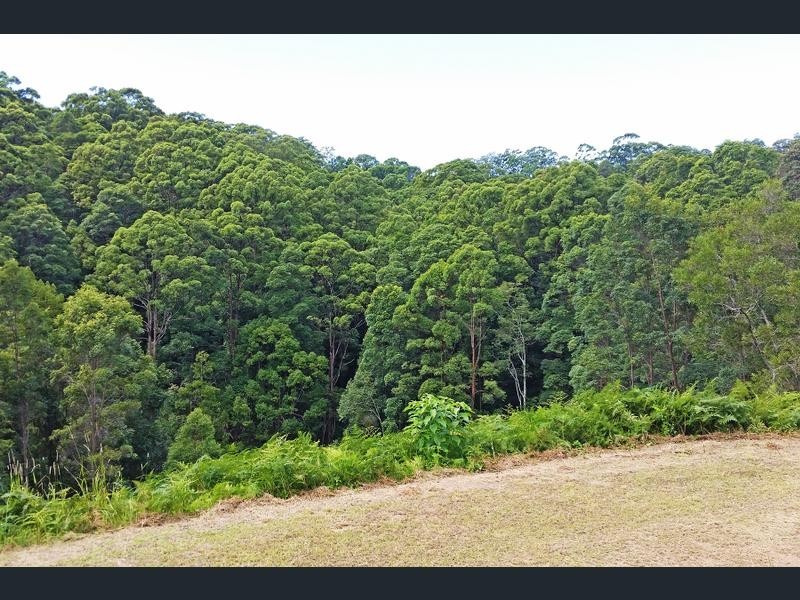 Lot 1 Aquilas Retreat, Palmvale NSW 2484