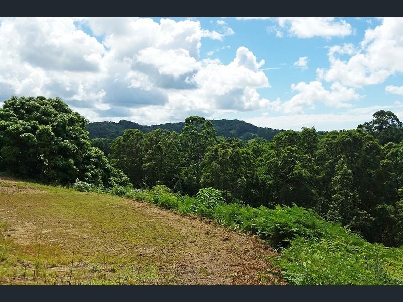 Lot 1 Aquilas Retreat, Palmvale NSW 2484