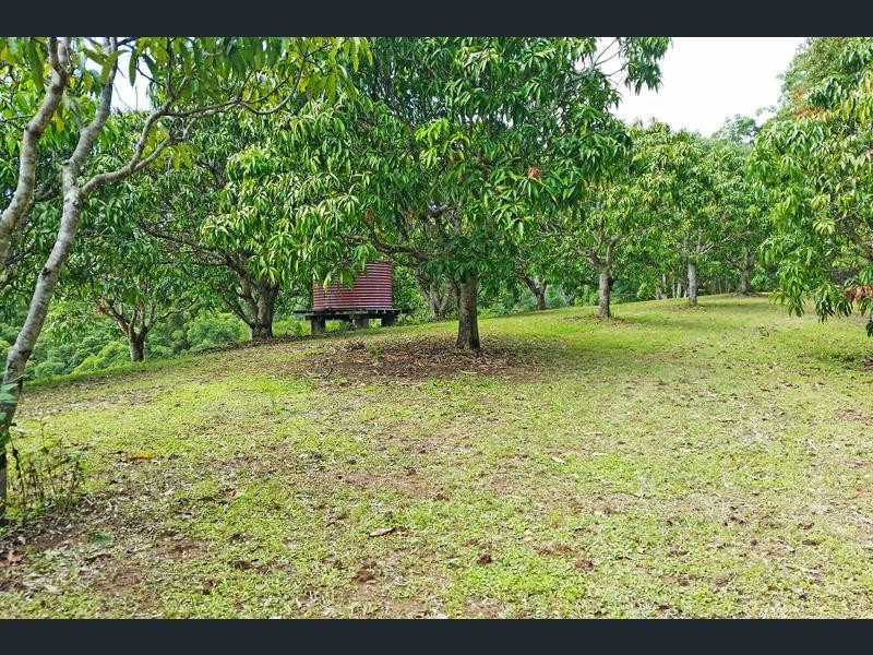 Lot 1 Aquilas Retreat, Palmvale NSW 2484