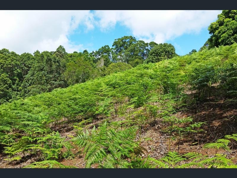 Lot 1 Aquilas Retreat, Palmvale NSW 2484