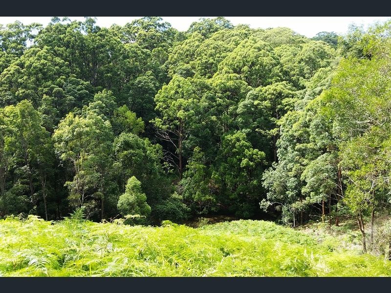 Lot 1 Aquilas Retreat, Palmvale NSW 2484