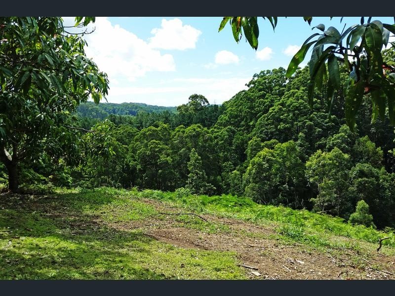 Lot 1 Aquilas Retreat, Palmvale NSW 2484