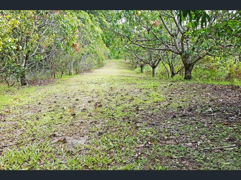 Lot 1 Aquilas Retreat, Palmvale NSW 2484