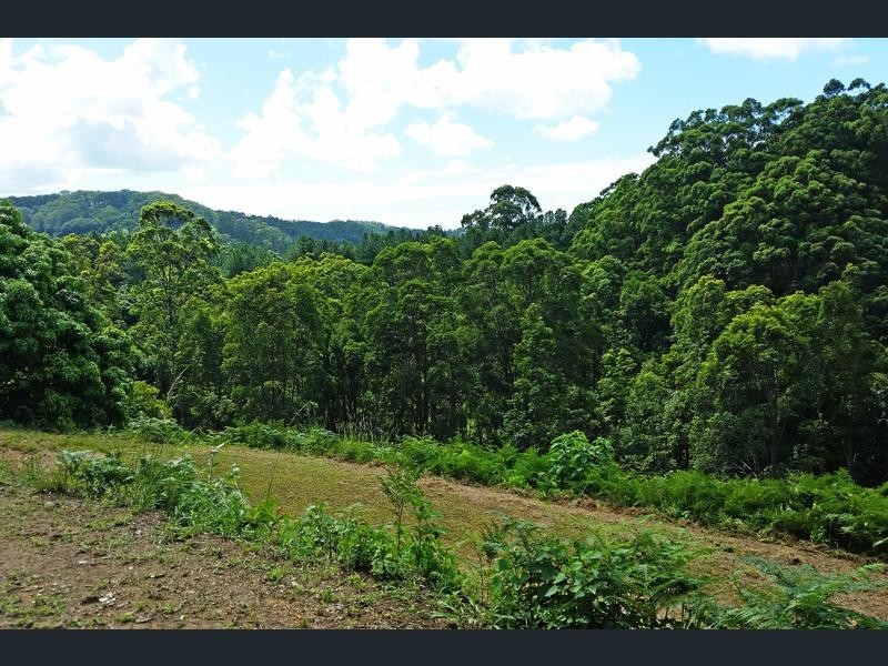 Lot 1 Aquilas Retreat, Palmvale NSW 2484