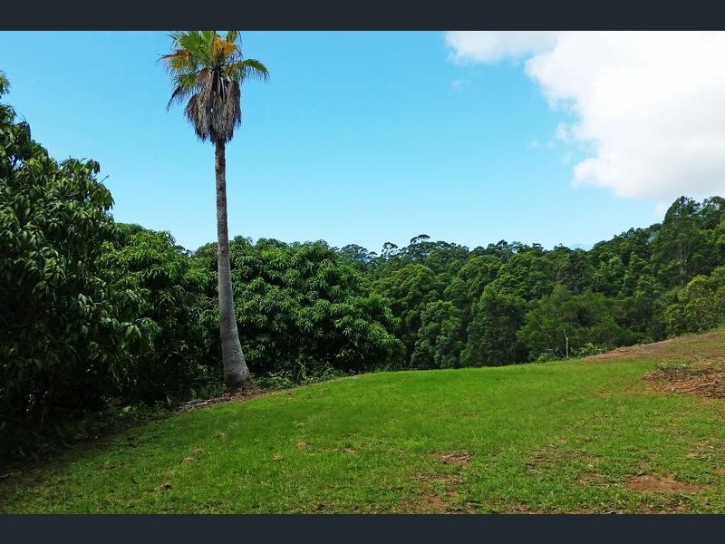 253 PALMVALE ROAD, Palmvale NSW 2484