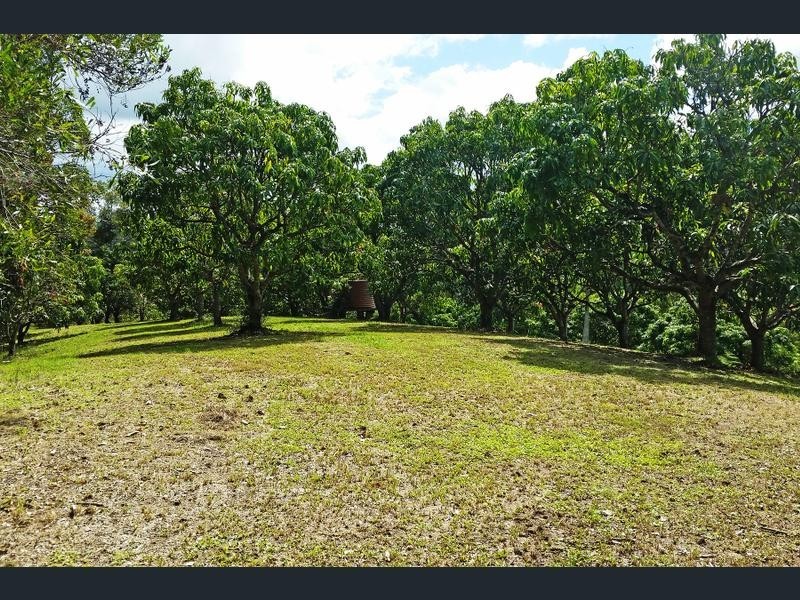 253 PALMVALE ROAD, Palmvale NSW 2484