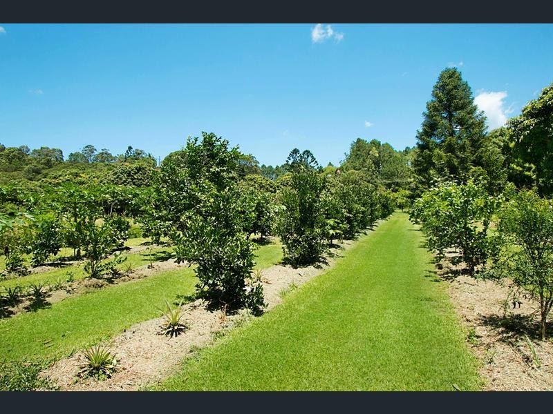 253 PALMVALE ROAD, Palmvale NSW 2484