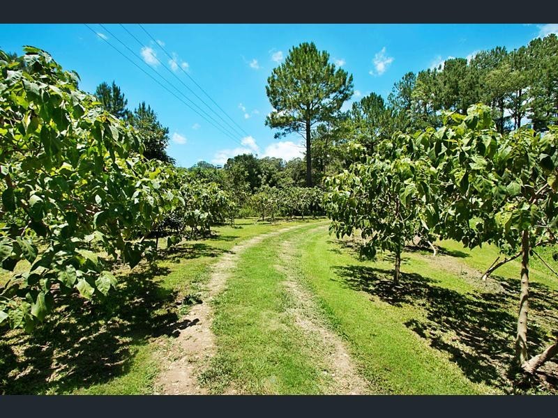 253 PALMVALE ROAD, Palmvale NSW 2484