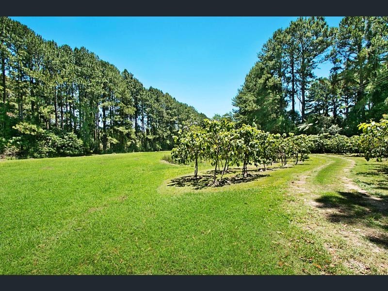 253 PALMVALE ROAD, Palmvale NSW 2484