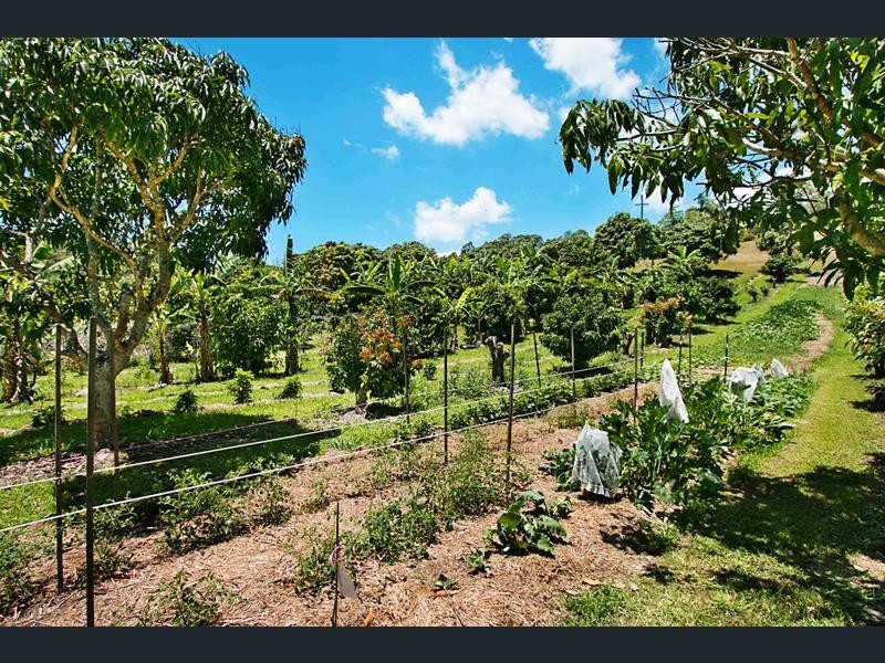 253 PALMVALE ROAD, Palmvale NSW 2484