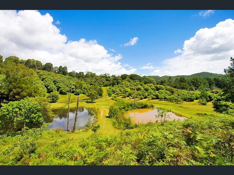 253 PALMVALE ROAD, Palmvale NSW 2484