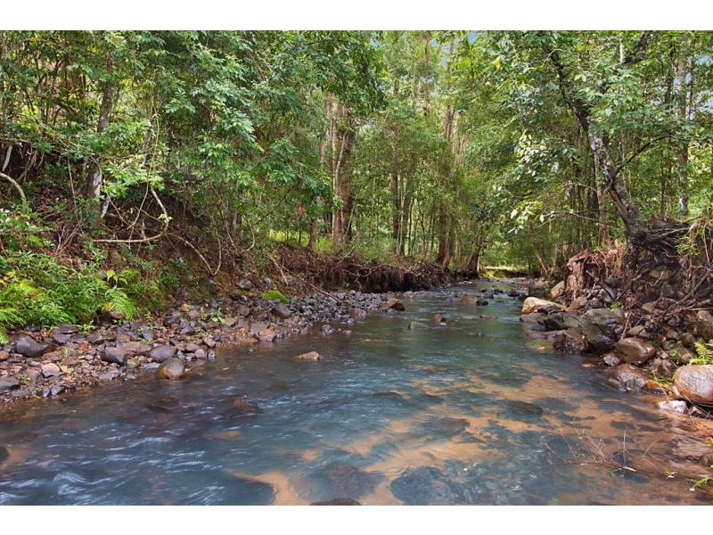 2038 NUMINBAH ROAD, Numinbah NSW 2484