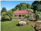 2 CROOKS VALLEY ROAD, Crystal Creek NSW 2484