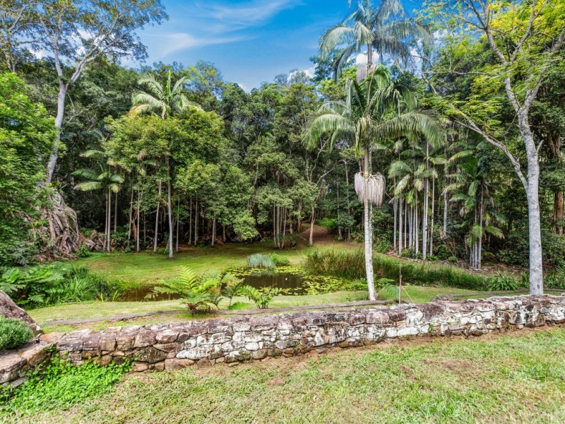 Cedar Creek NSW 2484