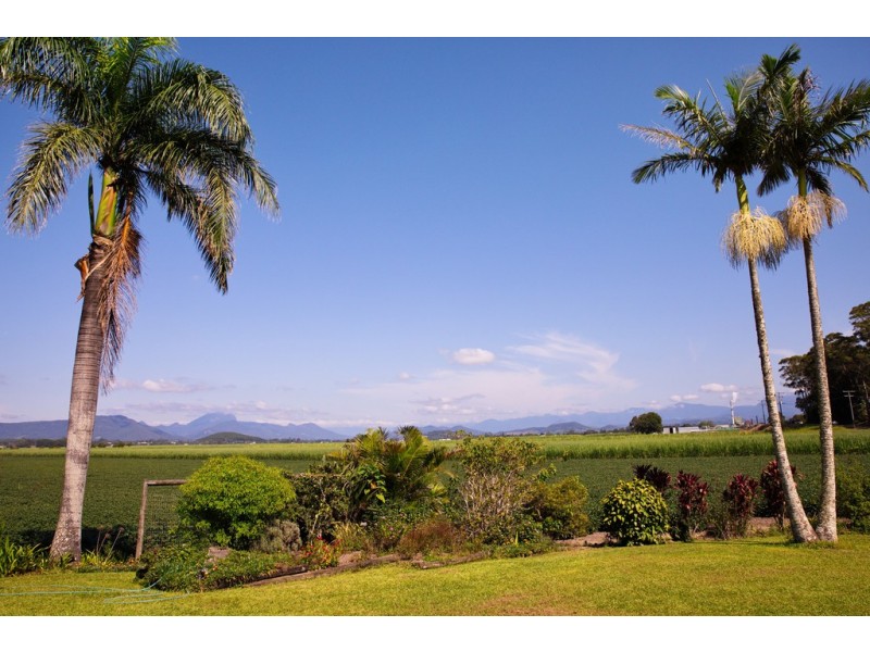 194 CLOTHIERS CREEK ROAD, Nunderi NSW 2484