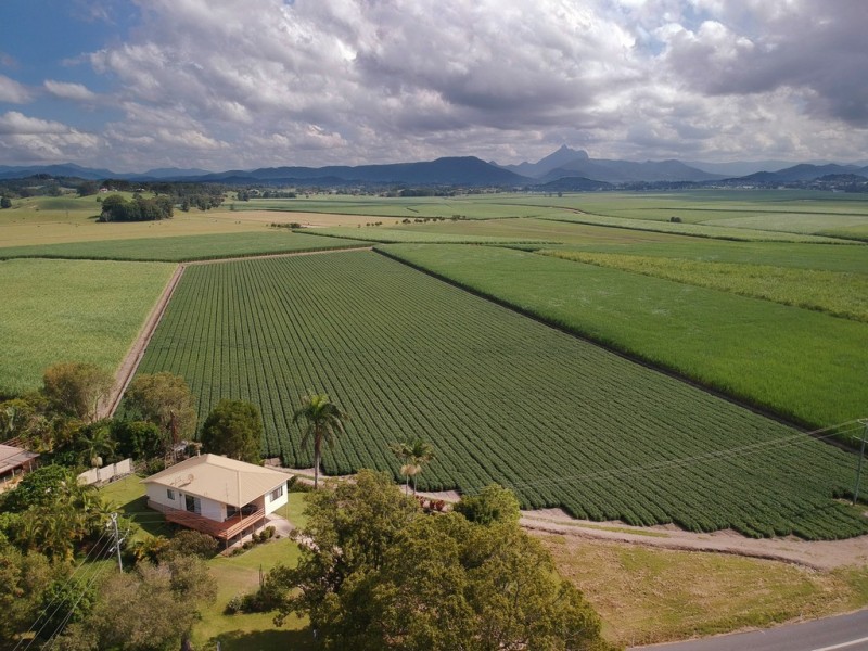 194 CLOTHIERS CREEK ROAD, Nunderi NSW 2484