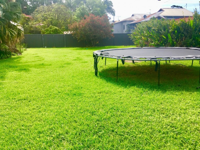 42 Tumbulgum Road, Murwillumbah NSW 2484