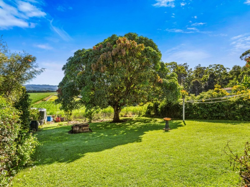 159 MURWILLUMBAH STREET, Murwillumbah NSW 2484