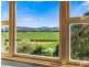 159 MURWILLUMBAH STREET, Murwillumbah NSW 2484
