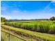 159 MURWILLUMBAH STREET, Murwillumbah NSW 2484