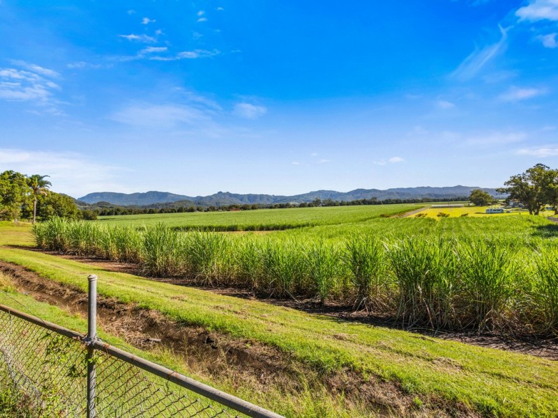 159 MURWILLUMBAH STREET, Murwillumbah NSW 2484