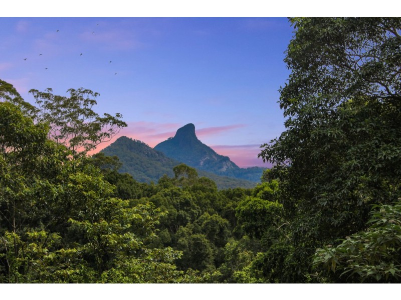 140 Braeside Drive, Uki NSW 2484