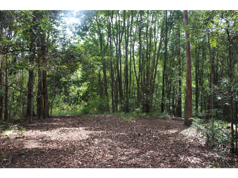 140 Braeside Drive, Uki NSW 2484