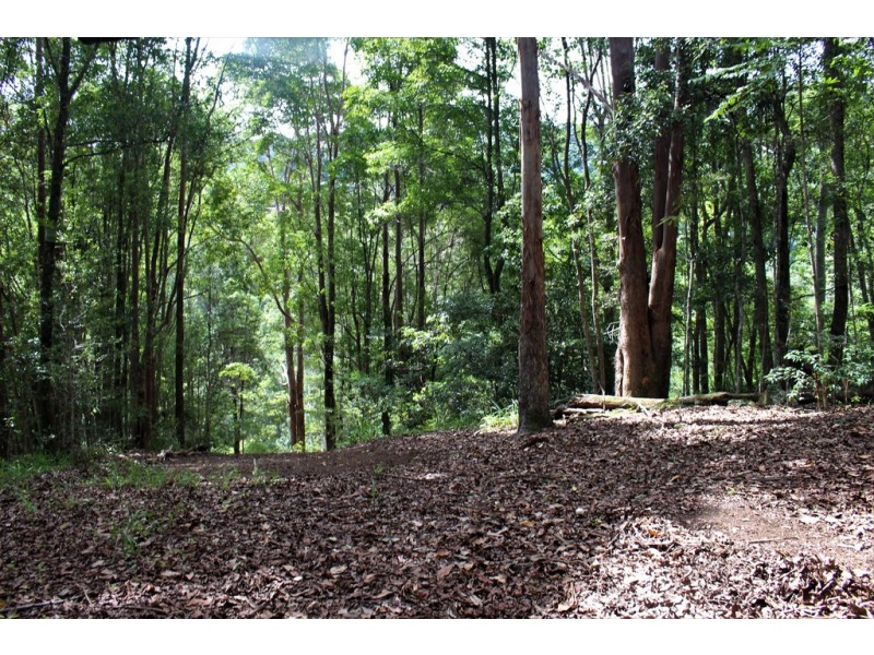 140 Braeside Drive, Uki NSW 2484