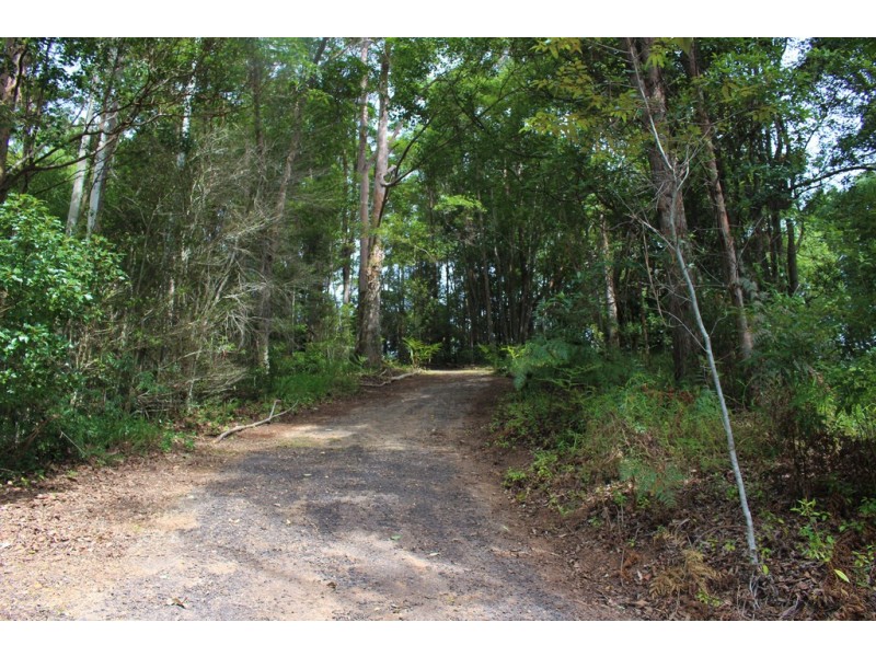 140 Braeside Drive, Uki NSW 2484