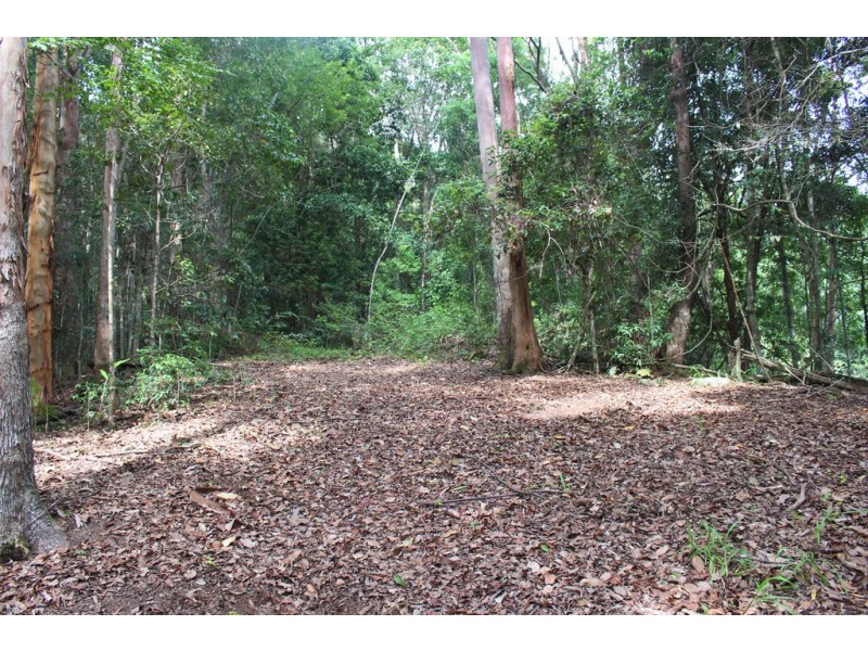 140 Braeside Drive, Uki NSW 2484