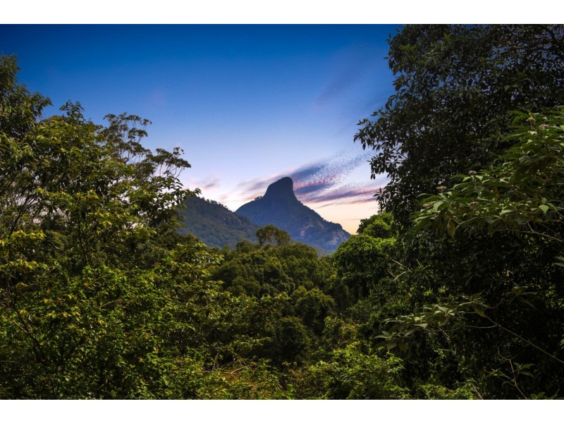 140 Braeside Drive, Uki NSW 2484