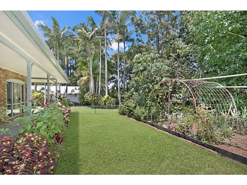 675 HOPKINS CREEK ROAD, Hopkins Creek NSW 2484