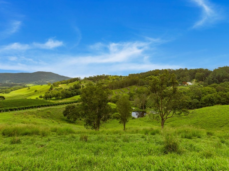 7221 TWEED VALLEY WAY, Fernvale NSW 2484