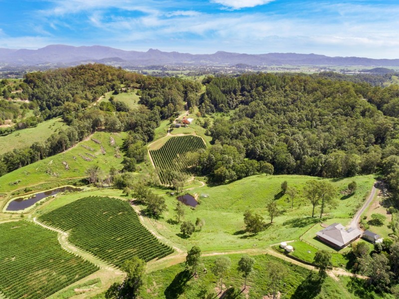 7221 TWEED VALLEY WAY, Fernvale NSW 2484