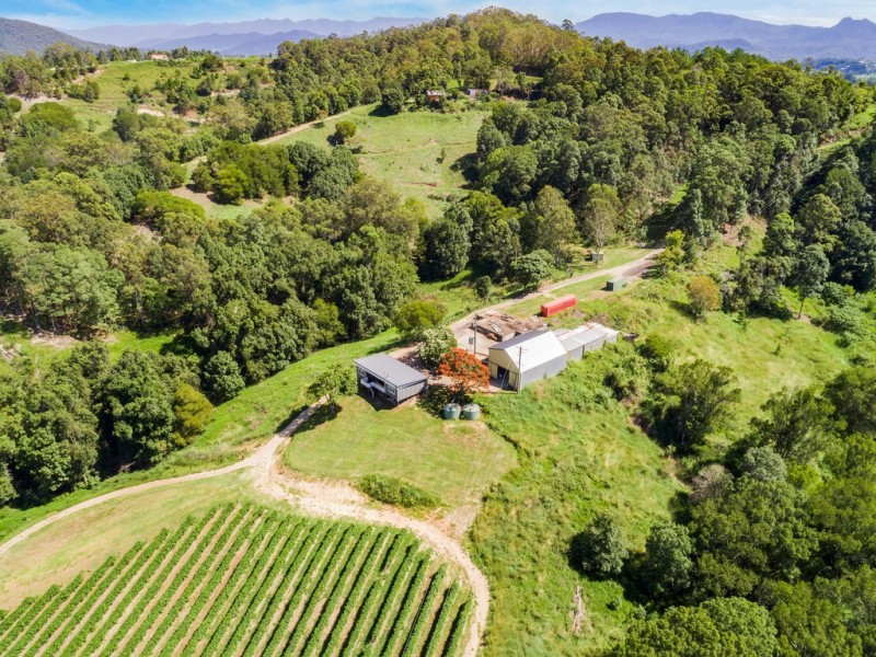 7221 TWEED VALLEY WAY, Fernvale NSW 2484