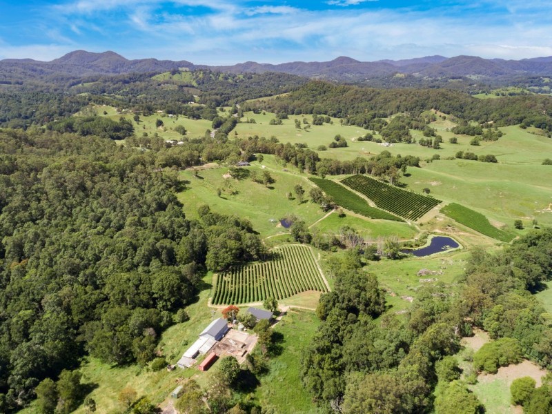 7221 TWEED VALLEY WAY, Fernvale NSW 2484