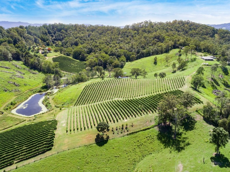 7221 TWEED VALLEY WAY, Fernvale NSW 2484