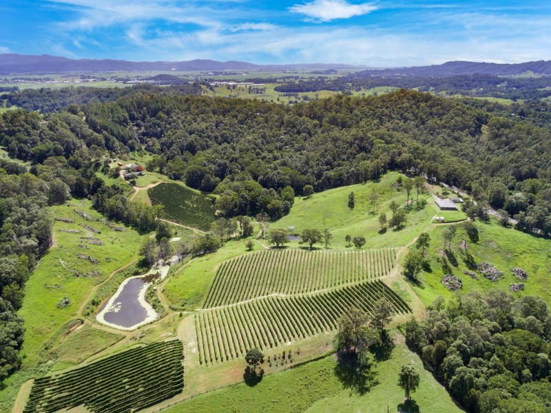 7221 TWEED VALLEY WAY, Fernvale NSW 2484
