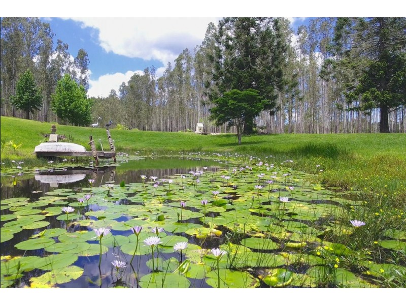 306 CROFTON ROAD, Nimbin NSW 2480