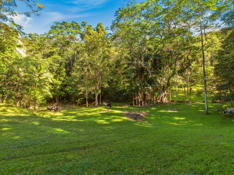 Dungay NSW 2484