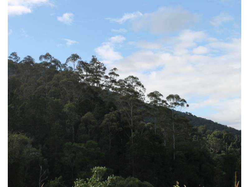 Lot 2 MOUNT WARNING ROAD, Mount Warning NSW 2484