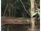 Lot 2 MOUNT WARNING ROAD, Mount Warning NSW 2484