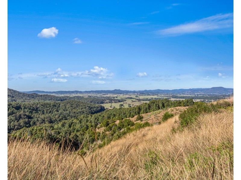 702 TOMEWIN ROAD, Tomewin NSW 2484