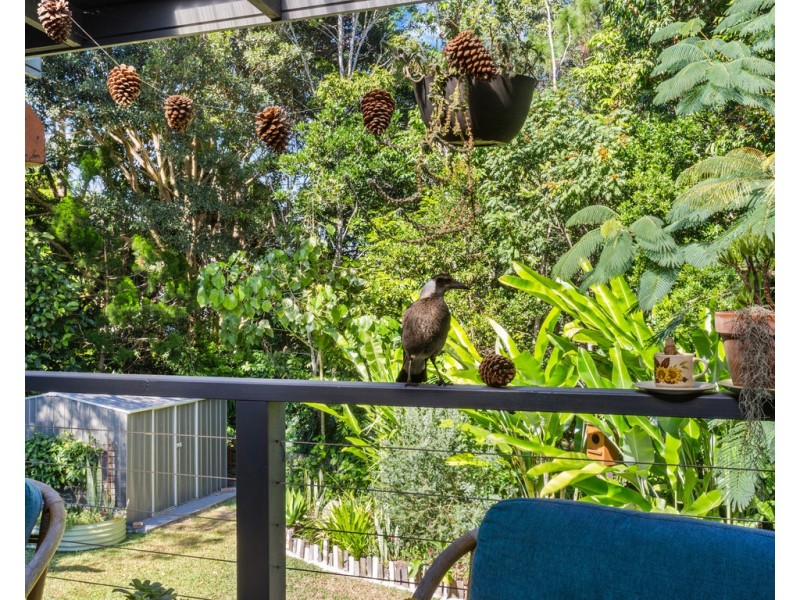 10 CONDONG STREET, Murwillumbah NSW 2484