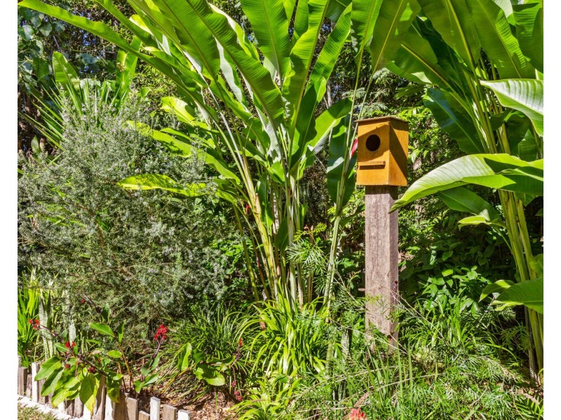 10 CONDONG STREET, Murwillumbah NSW 2484