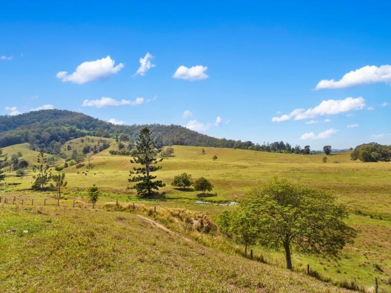 25 Sproules Road, Eungella NSW 2484