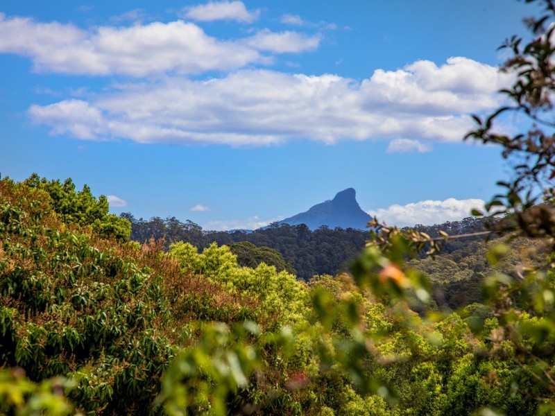 47 ADCOCKS ROAD, Stokers Siding NSW 2484