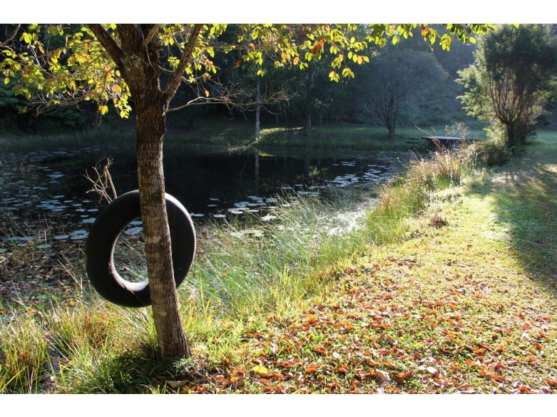 131 MINNOWS ROAD, Fernvale NSW 2484