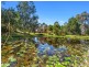 131 MINNOWS ROAD, Fernvale NSW 2484