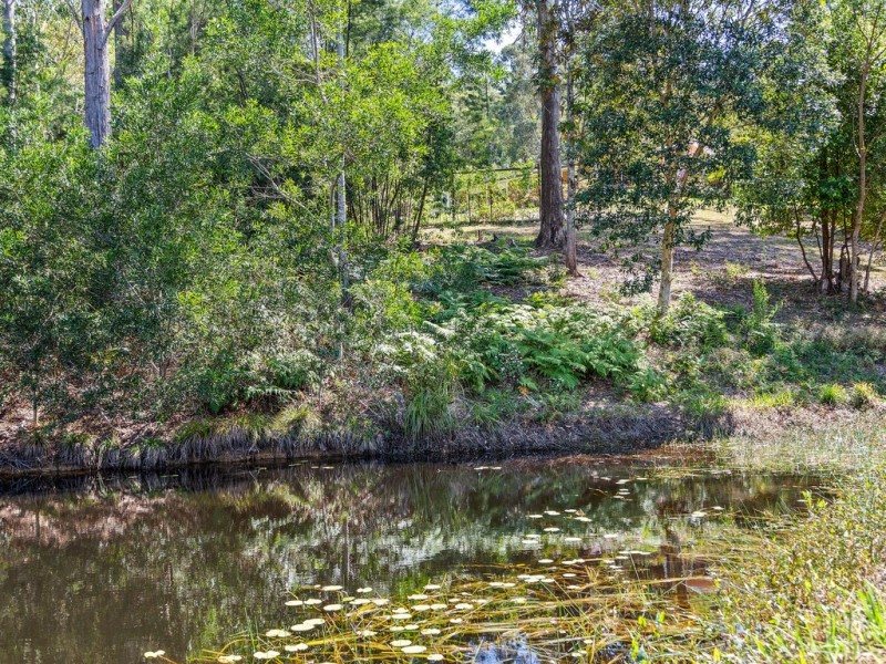 131 MINNOWS ROAD, Fernvale NSW 2484